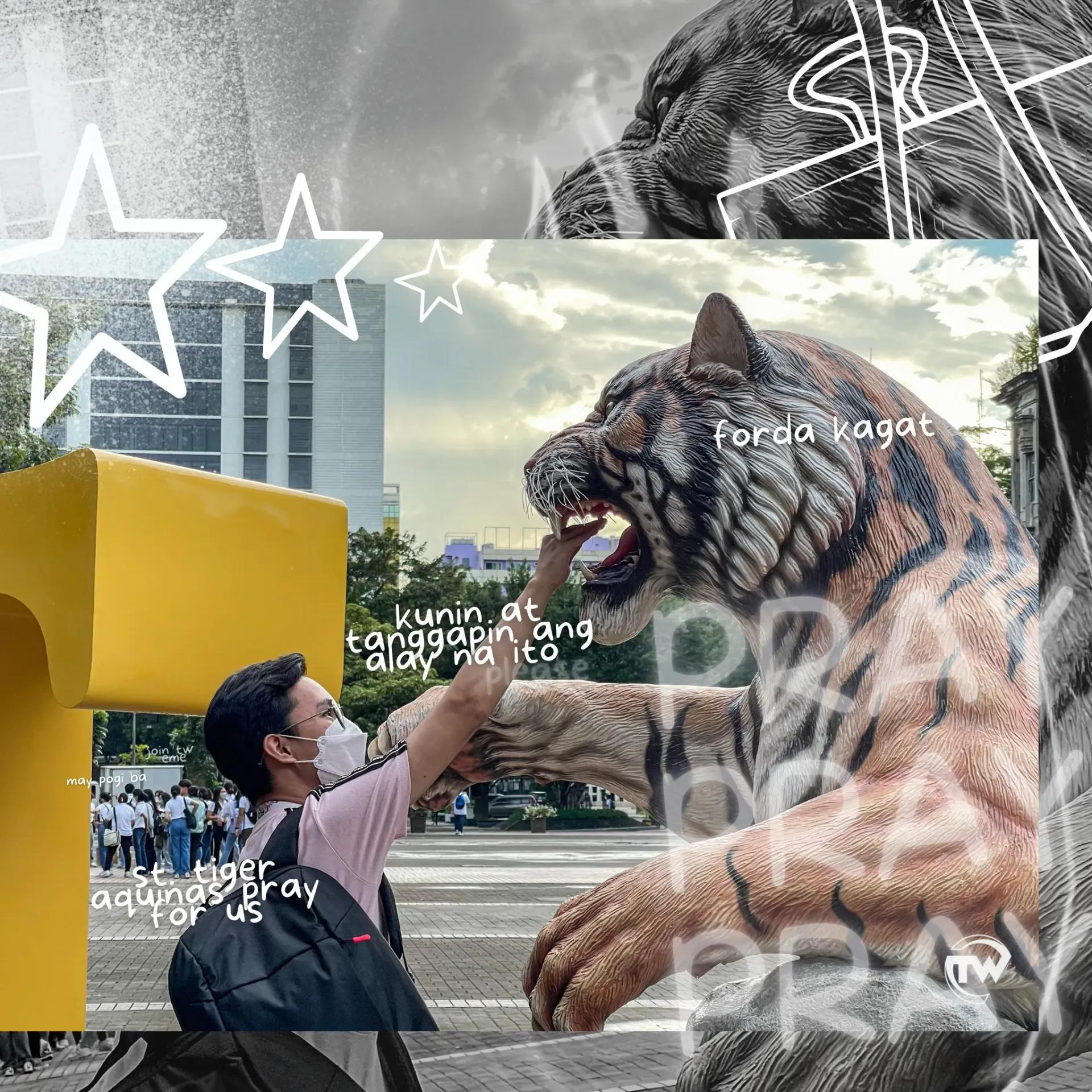 Photo and artwork by Ricardo Magpoc Jr. and Graceteen Buado/TomasinoWeb