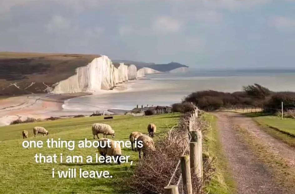 Screenshot from @absolutsilber/TikTok