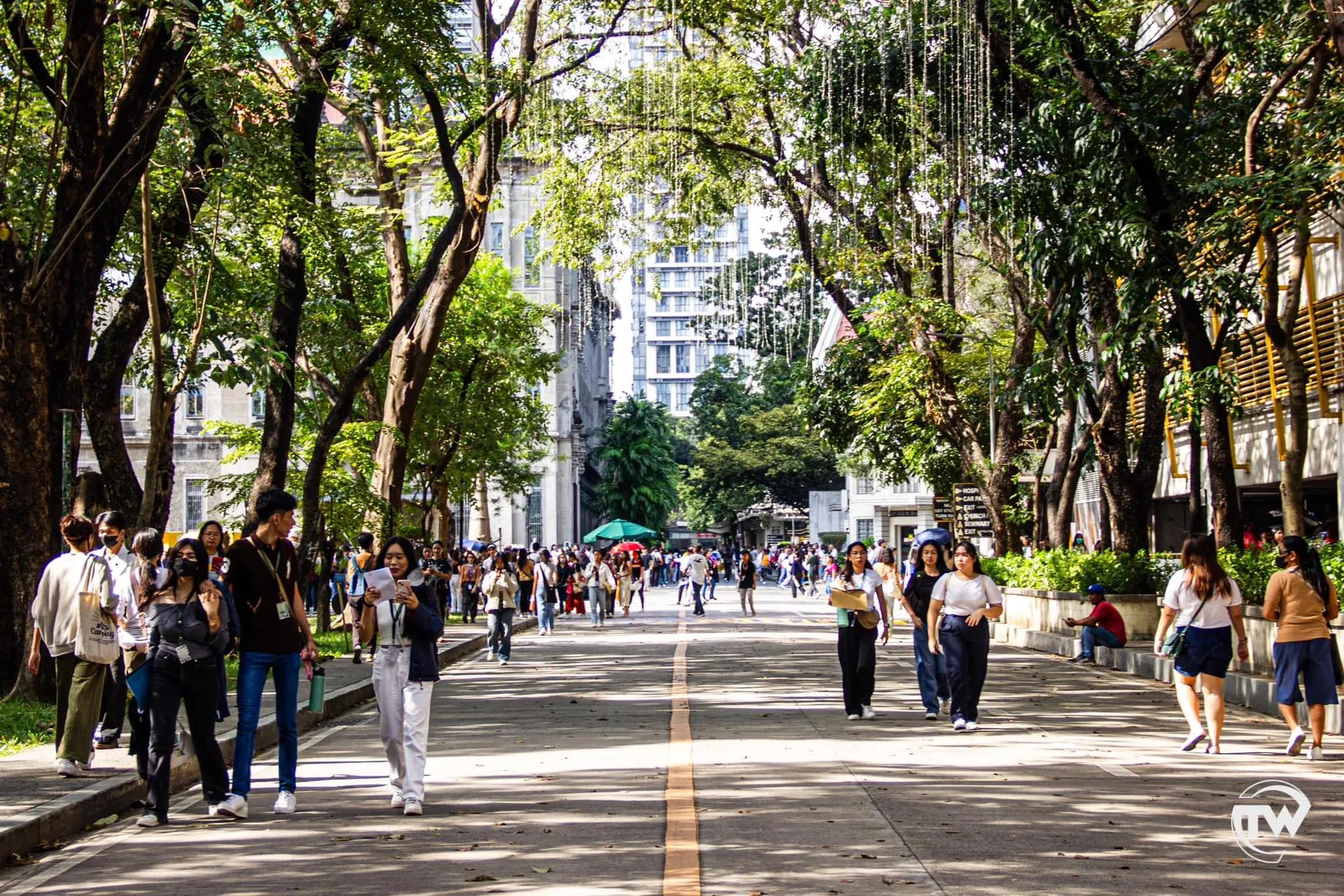 Photo by Gio Manipula/TomasinoWeb
